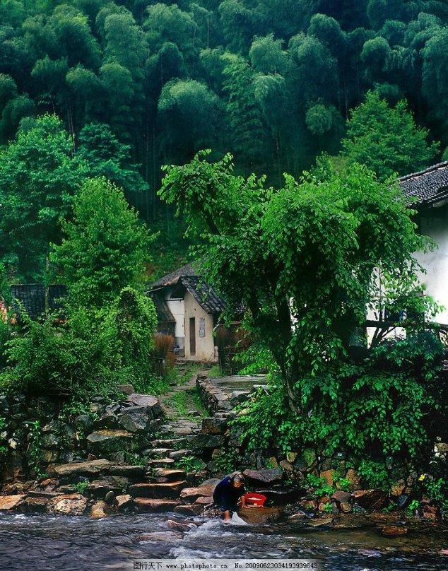 可爱小猫向上跳